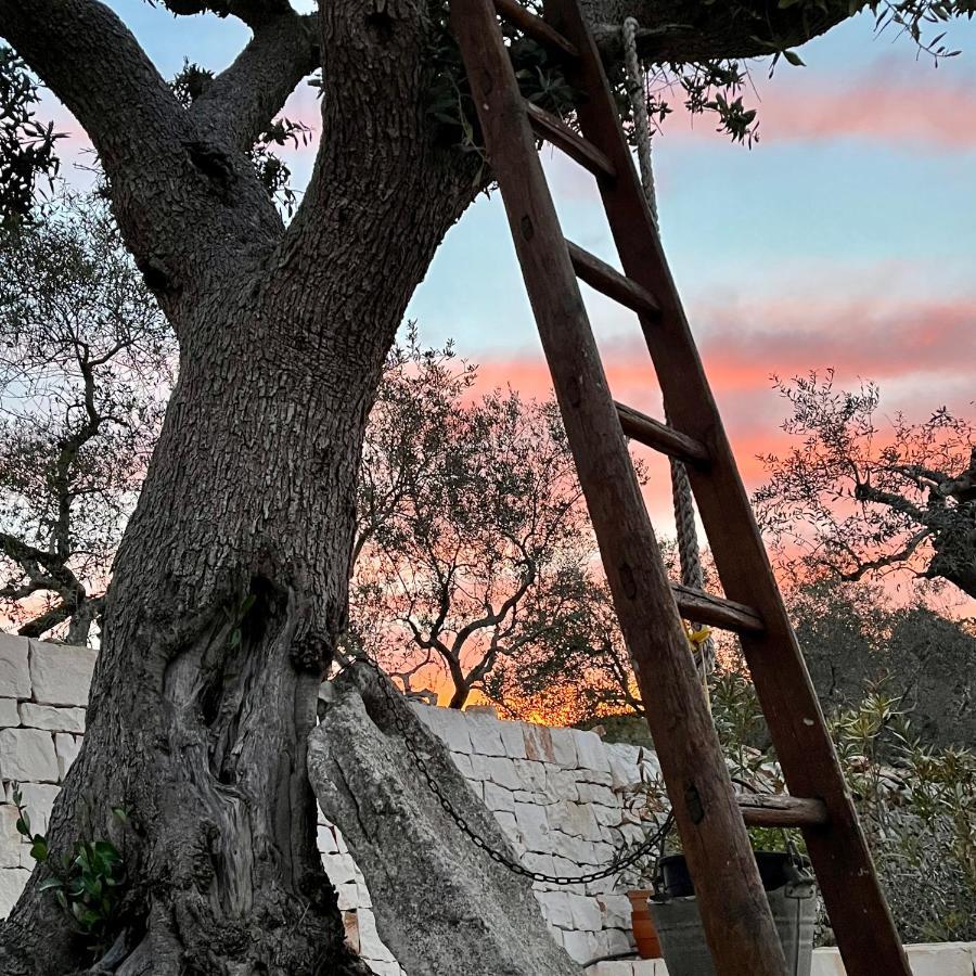 Bed and Breakfast Quei Trulli Divini Мартина-Франка Экстерьер фото