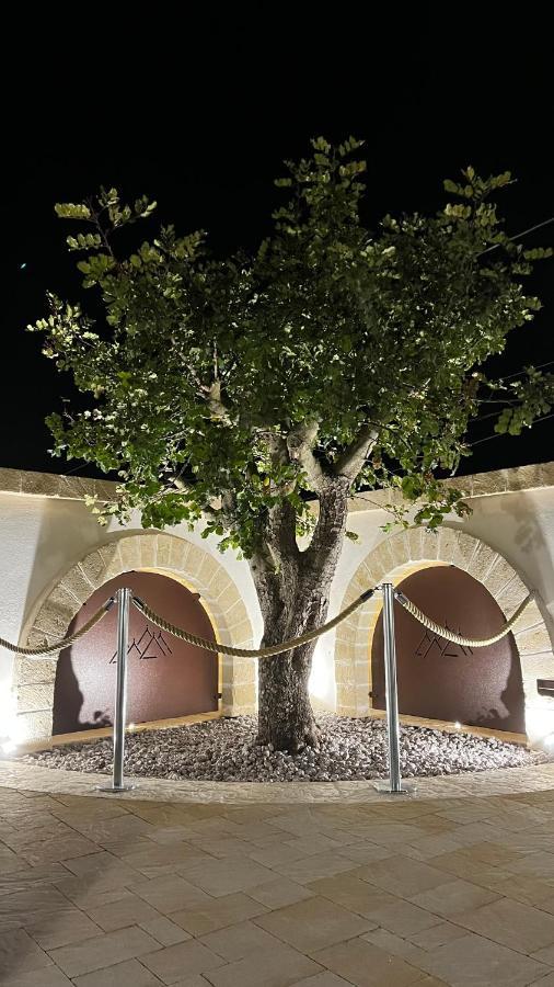 Bed and Breakfast Quei Trulli Divini Мартина-Франка Экстерьер фото